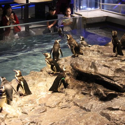 すみだ水族館