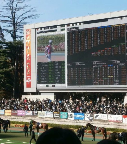 東京競馬場