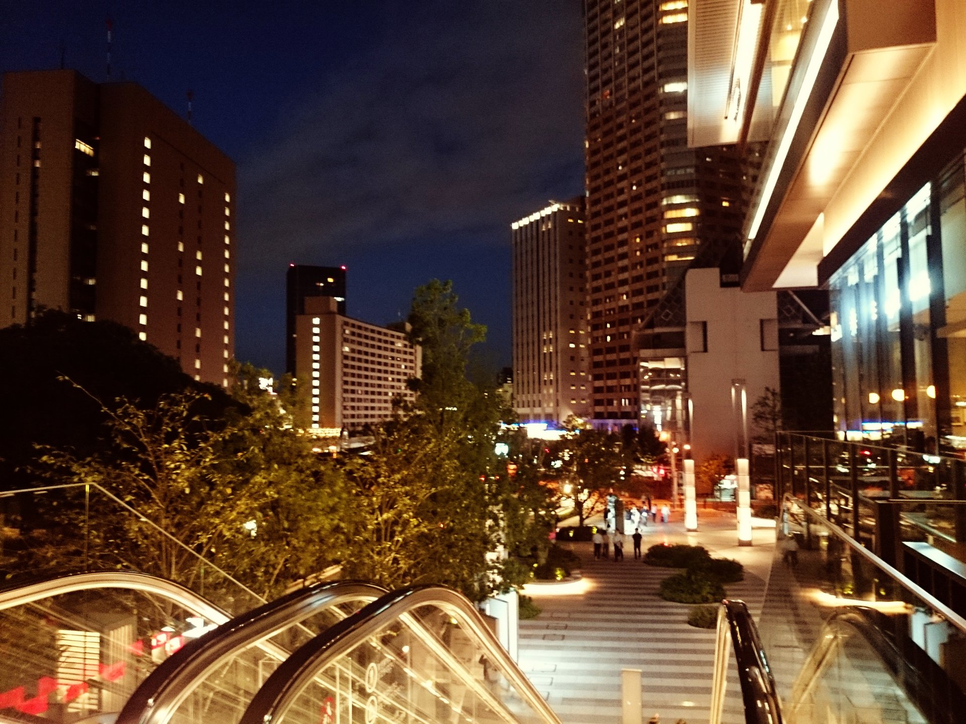 夜景が見えるテラスでお洒落ディナー。飯田橋サクラテラスおすすめレストラン