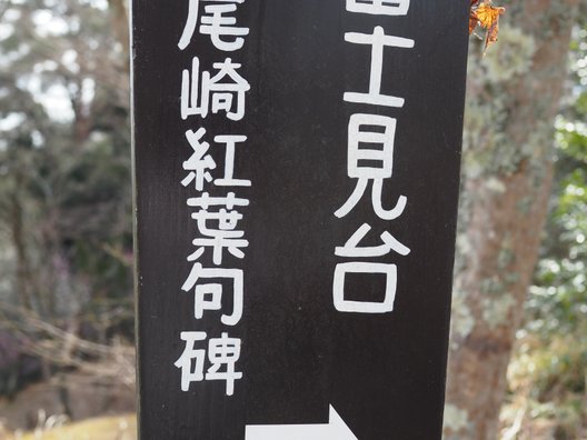 修善寺自然公園