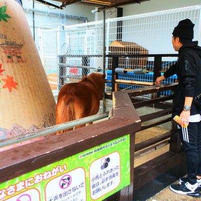 大江戸温泉物語箕面温泉スパーガーデン