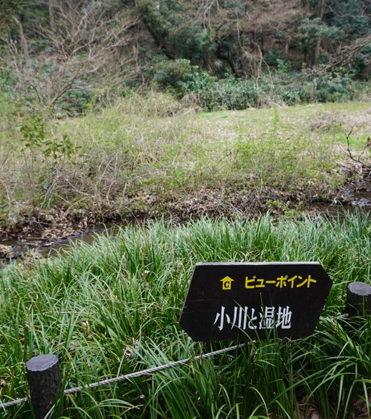 国立科学博物館附属自然教育園