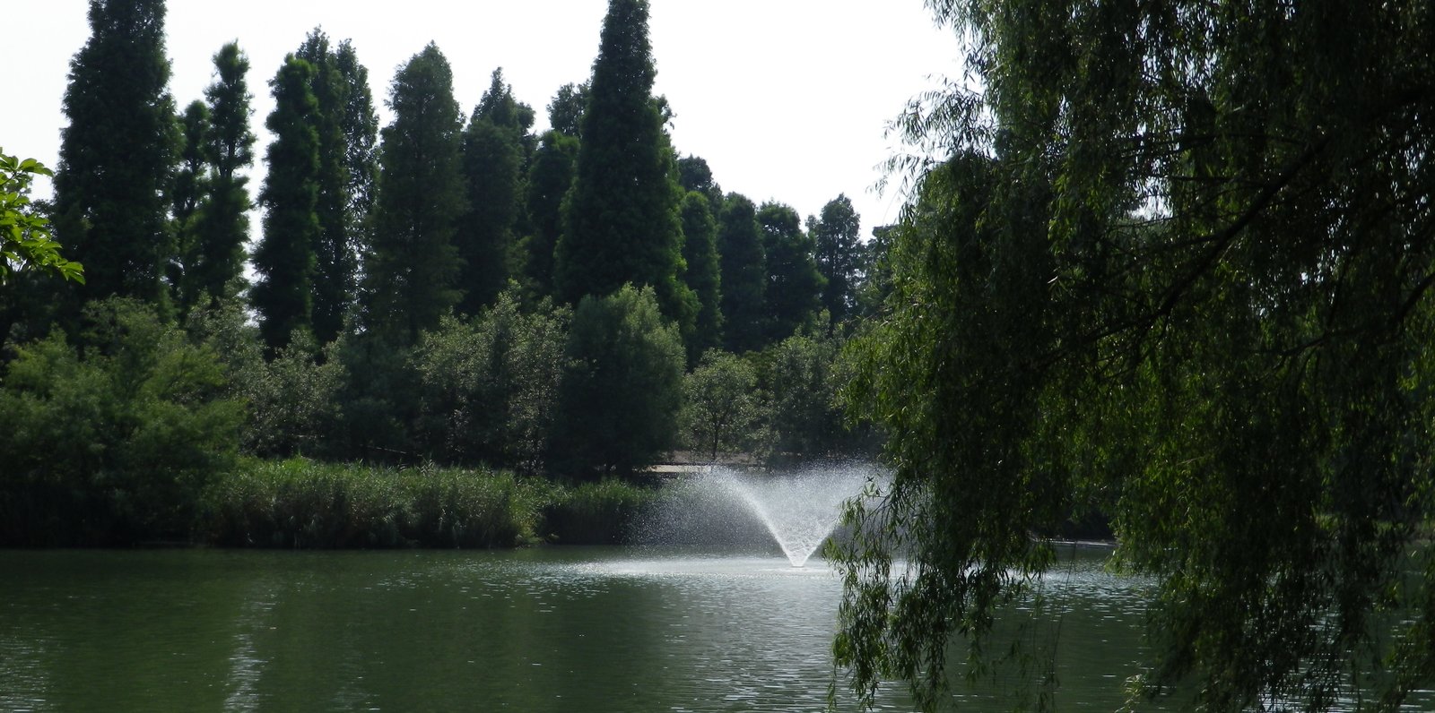 井の頭恩賜公園