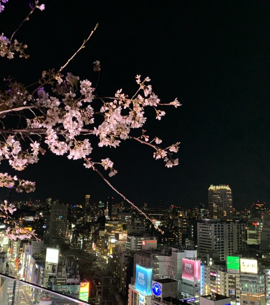 東急プラザ渋谷