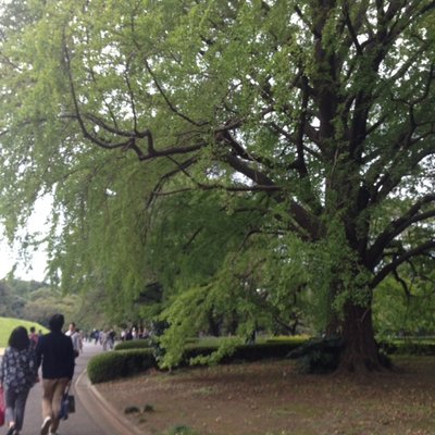 新宿御苑