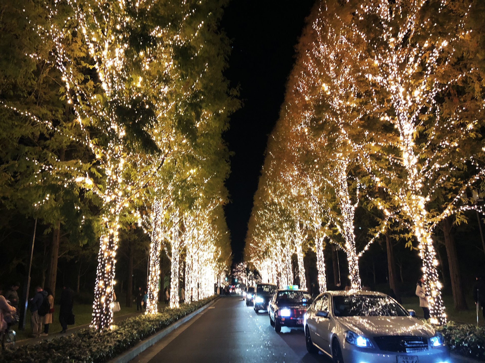 欲張りデート in 京都 紅葉にイルミ…綺麗ぎる秋冬の京都にお越しやすぅ