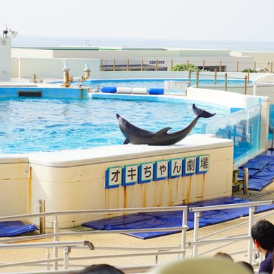 沖縄美ら海水族館