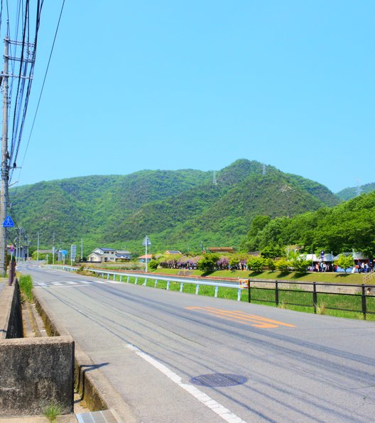 和気町藤公園