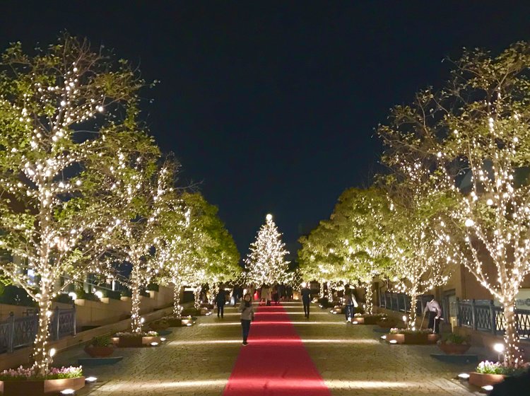 恵比寿でクリスマスディナーデート11選 夜景が綺麗でコスパが良いおすすめレストラン Playlife プレイライフ