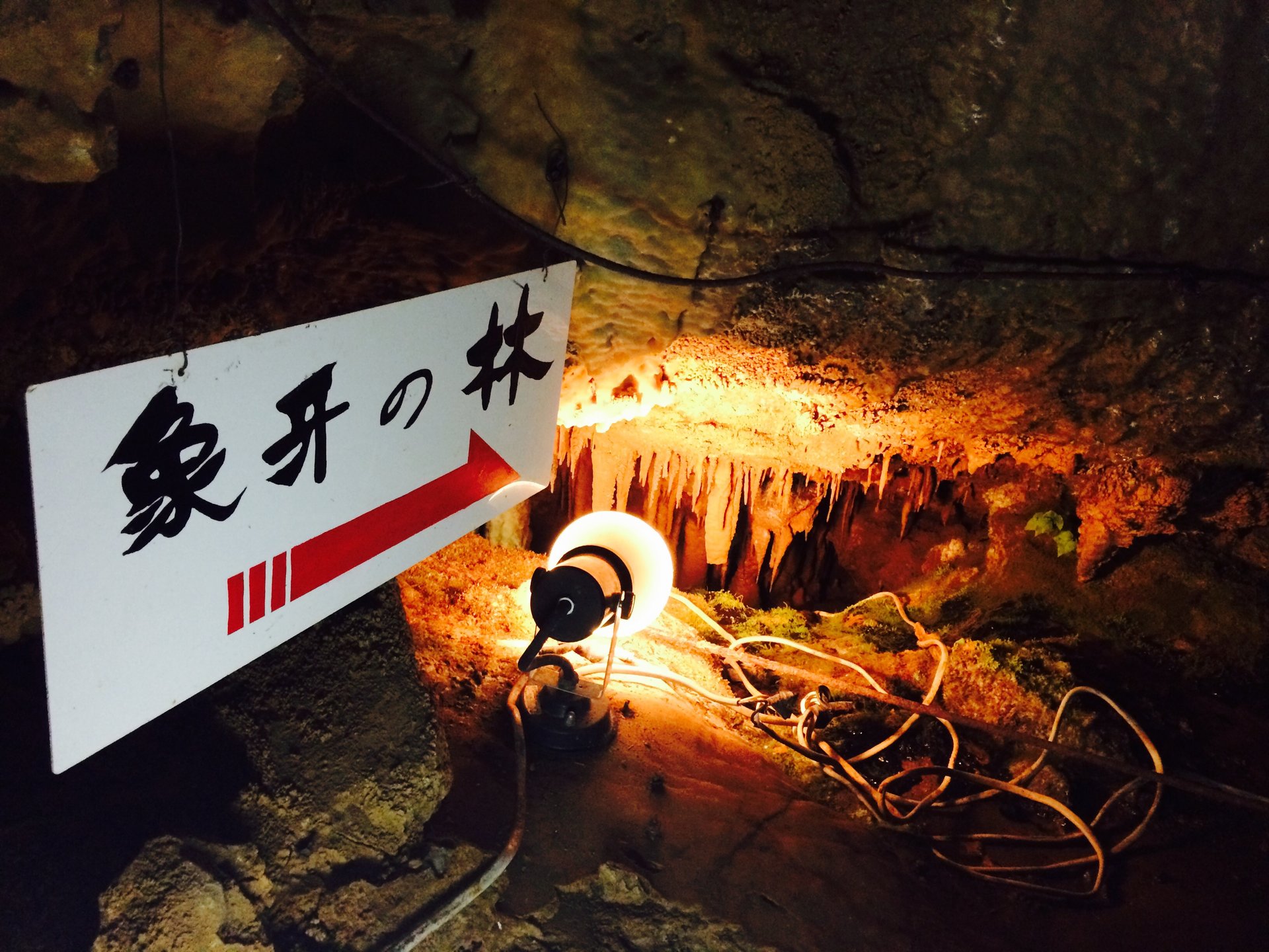 【洞窟探検しよ！】岐阜の観光名所で人気の郡上八幡・大滝鍾乳洞は異空間を味わえるオススメスポット！