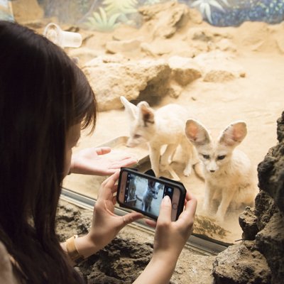 伊豆シャボテン動物公園