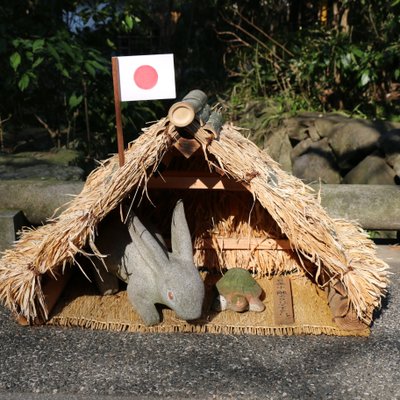 明月院(あじさい寺)