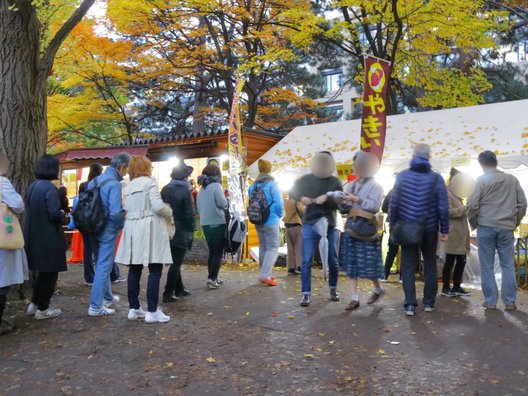 北海道大学イチョウ並木