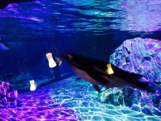 すみだ水族館