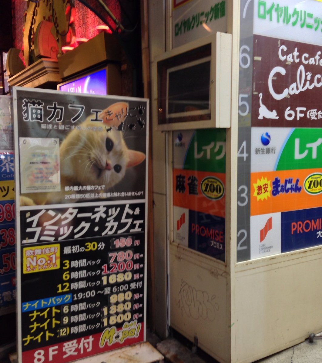 【閉店】猫カフェ きゃりこ 新宿店