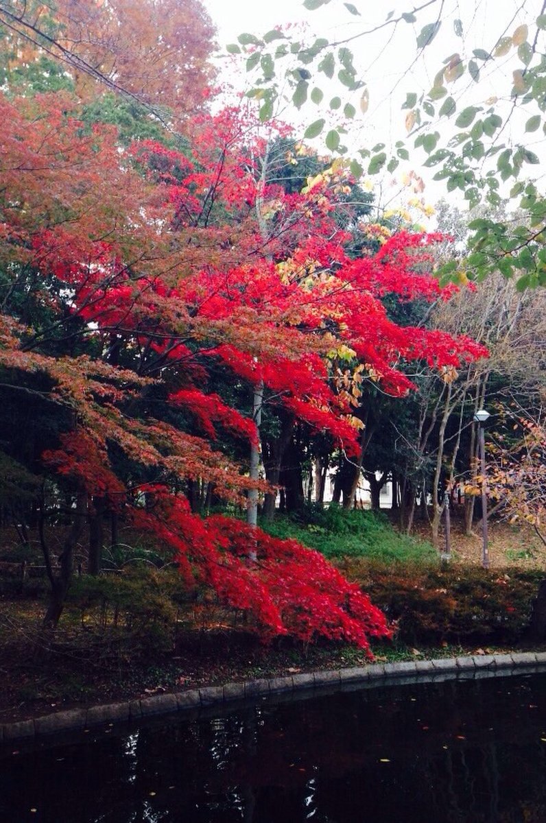 蚕糸の森公園