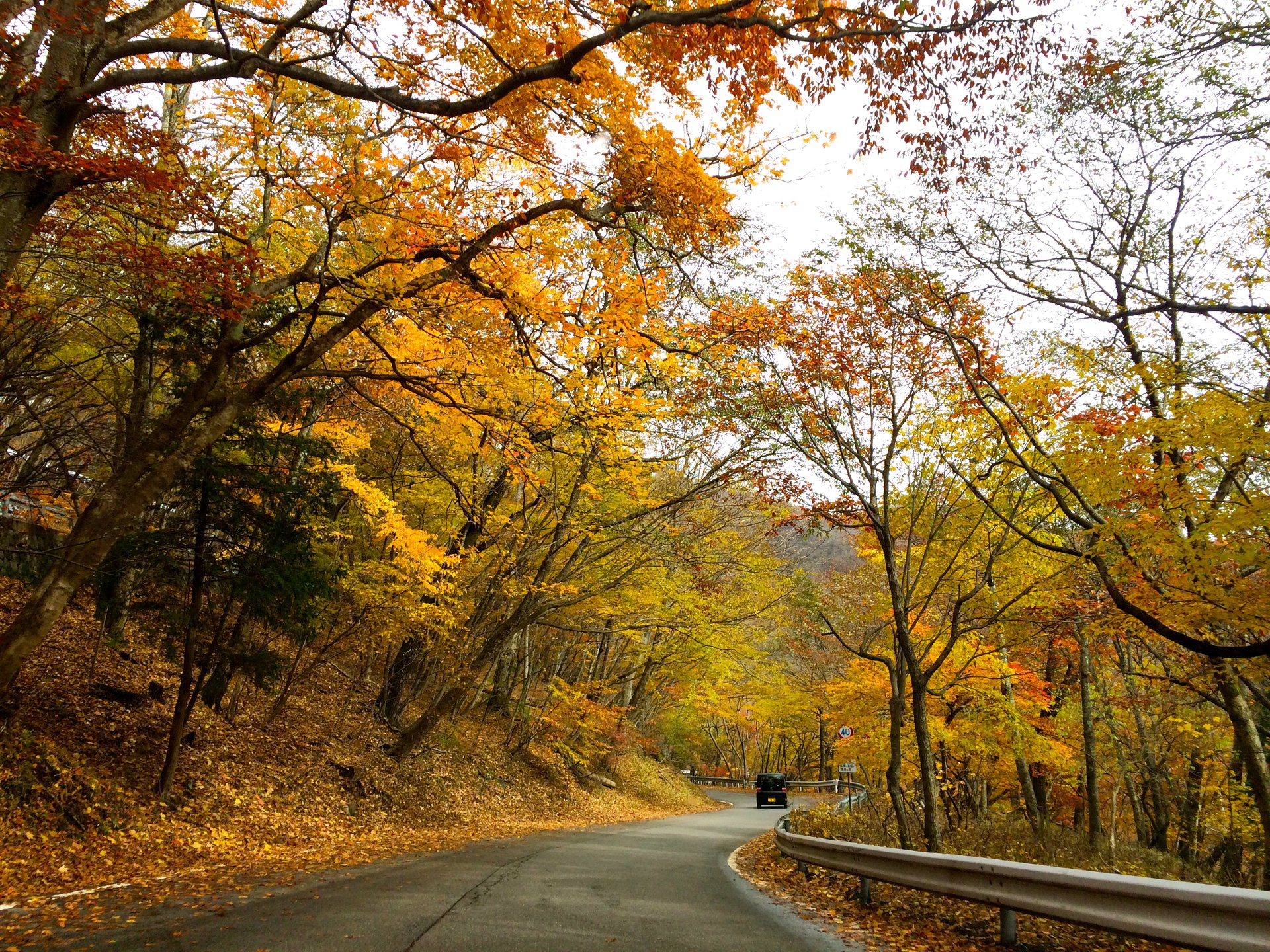 秋は栃木・日光ドライブ♪紅葉・世界遺産・湯葉料理・温泉〜１泊２日で行ける満足旅