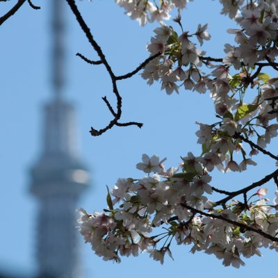 伝法院