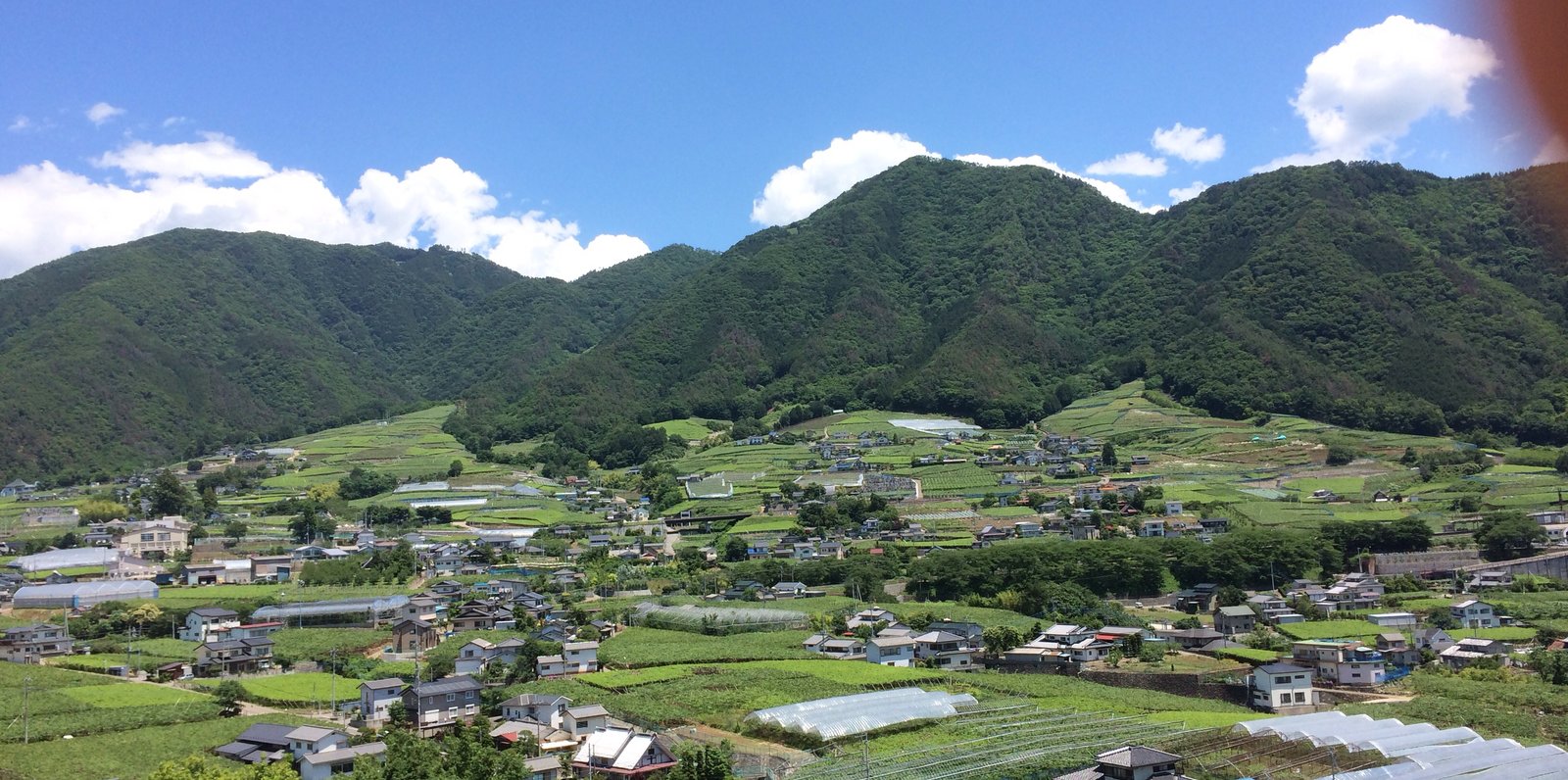 ぶどうの丘 地下ワインカーヴ