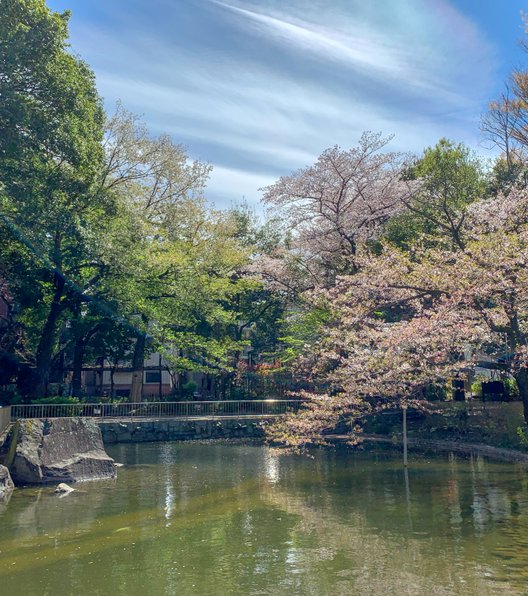 蚕糸の森公園