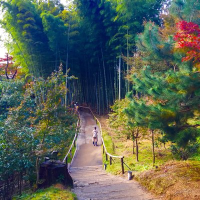 高台寺