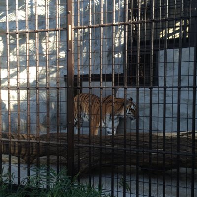 野毛山動物園