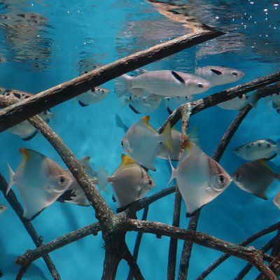 サンシャイン水族館