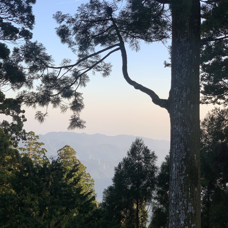 秋葉山本宮秋葉神社