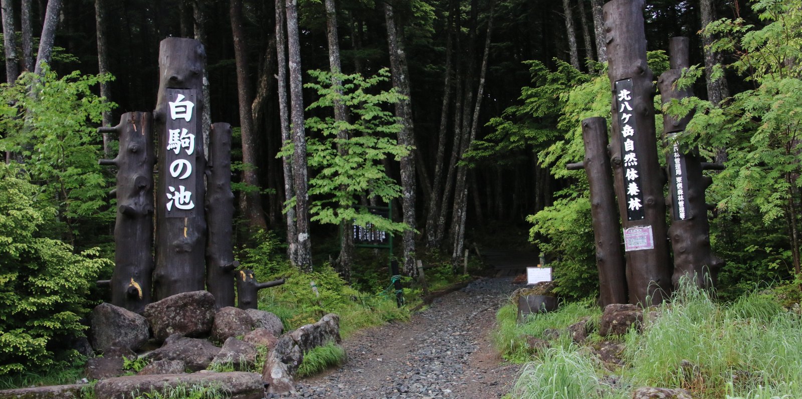 麦草峠