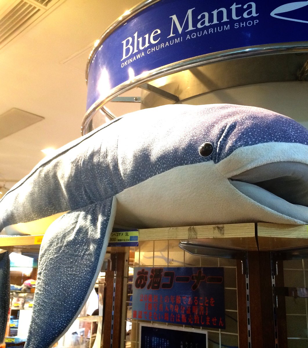 沖縄美ら海水族館