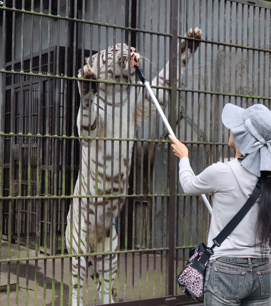 宇都宮動物園