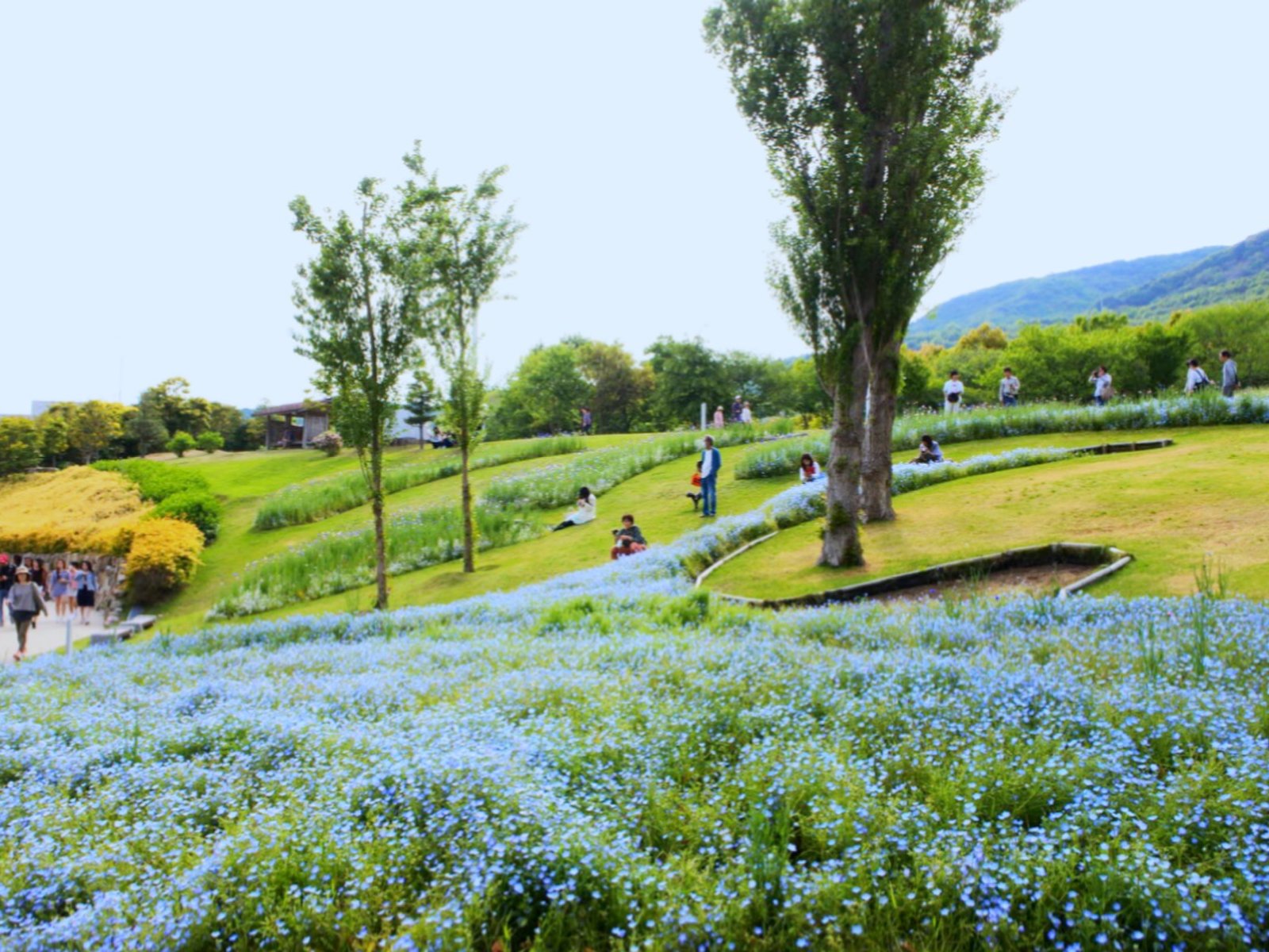 国営明石海峡公園