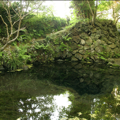 忍野八海