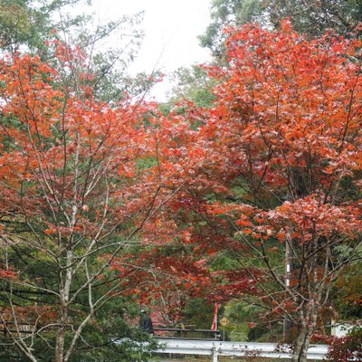 小松寺