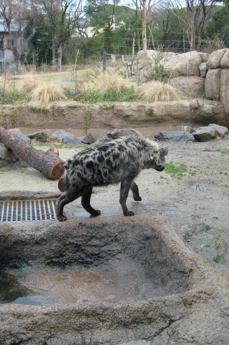 天王寺動物園