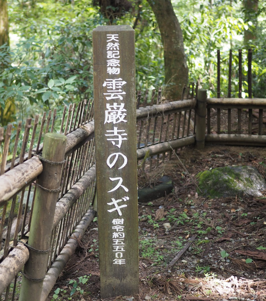 雲巌寺