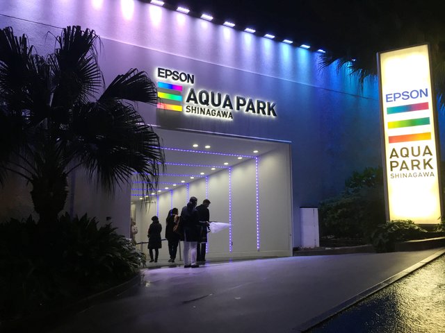 水族館とイルミネーションの融合 最強デートスポット 品川のスノウアクアリウムがクリスマスデートにおすすめ Playlife プレイライフ