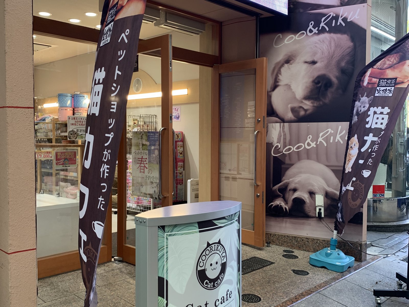 平日特典のある猫カフェ 空陸家 広島本通店 お得にねこと触れ合える方法がある Playlife プレイライフ