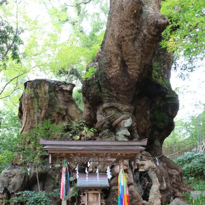 来宮神社