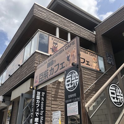 鎌倉乃豆柴カフェ