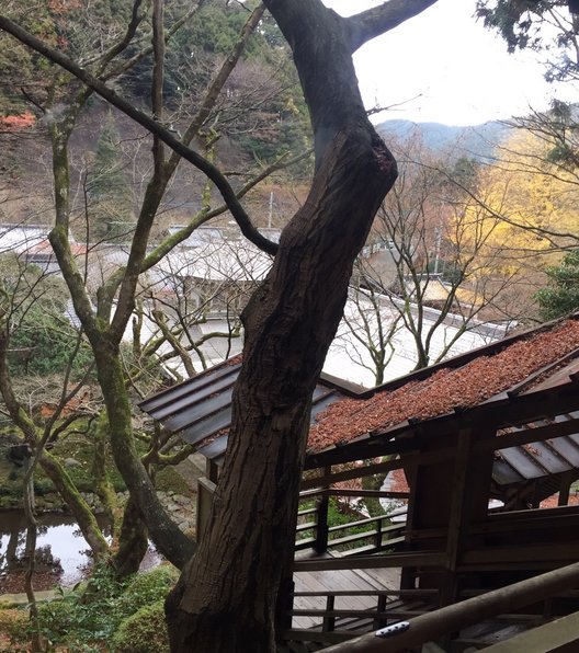 雷山千如寺大悲王院