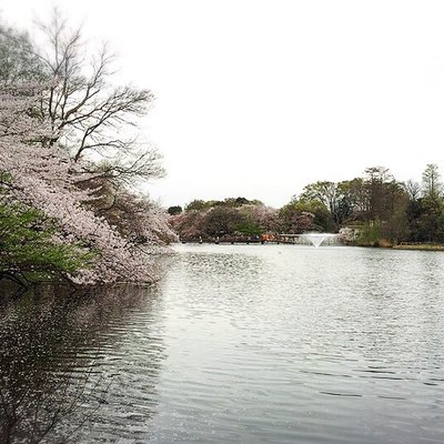 井の頭恩賜公園