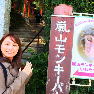 嵐山モンキーパークいわたやま