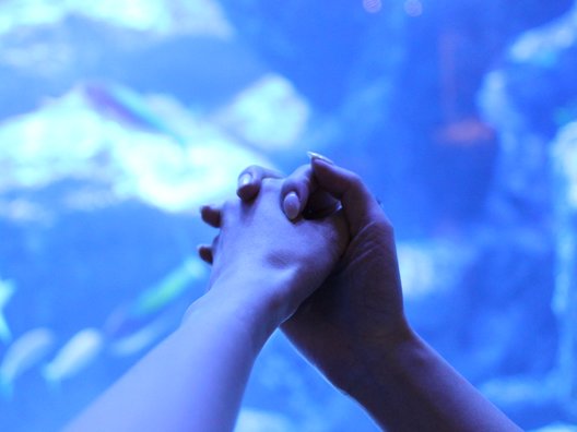 すみだ水族館