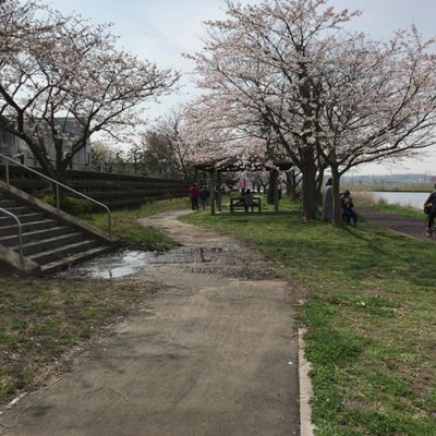 道の駅 やちよ