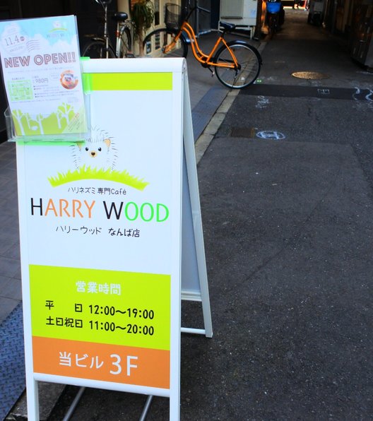 ハリネズミ専門カフェ HARRY WOOD(ハリーウッド)なんば店