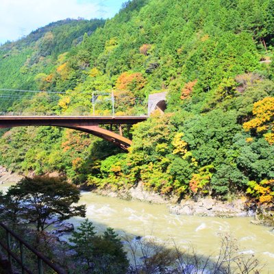 嵯峨野トロッコ列車