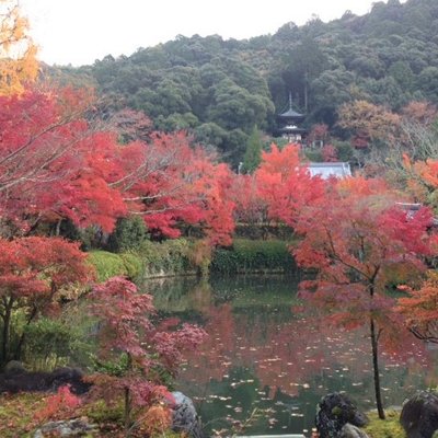 永観堂(禅林寺)