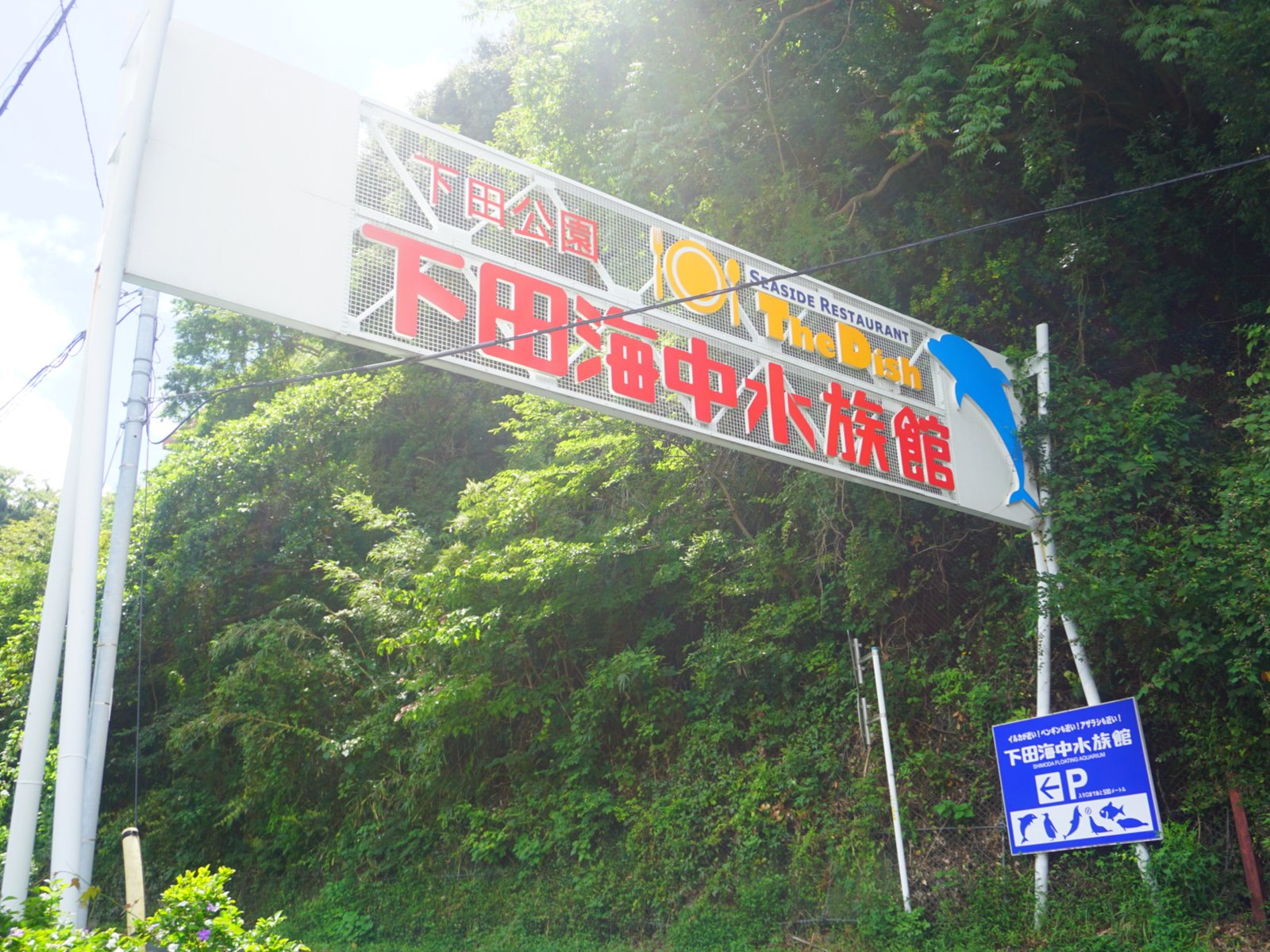 下田海中水族館