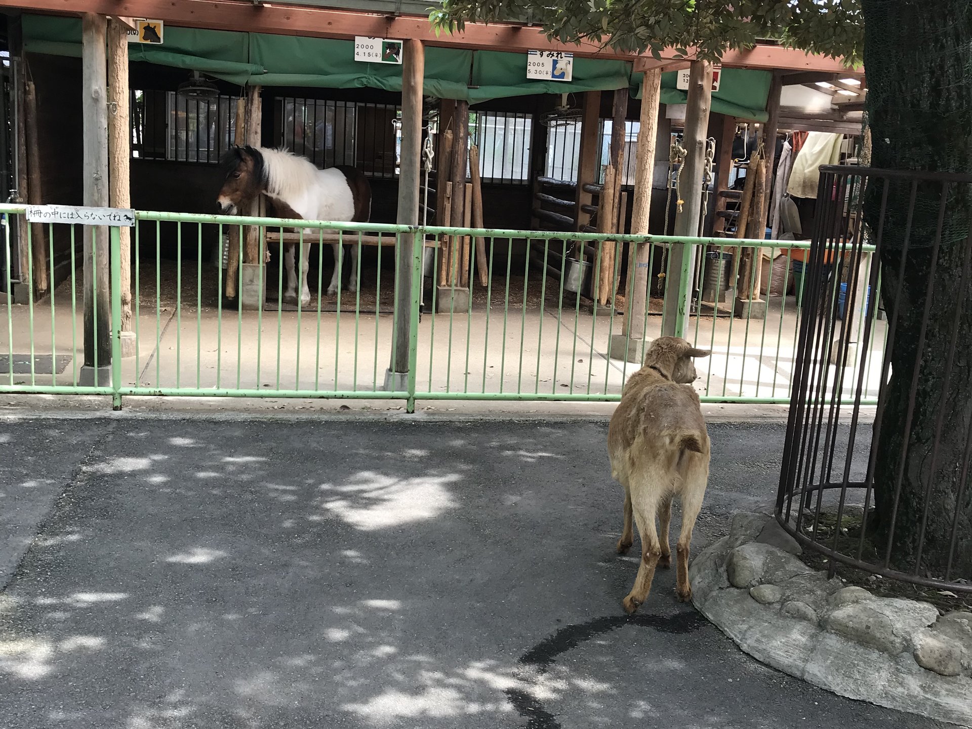 板橋区立こども動物園